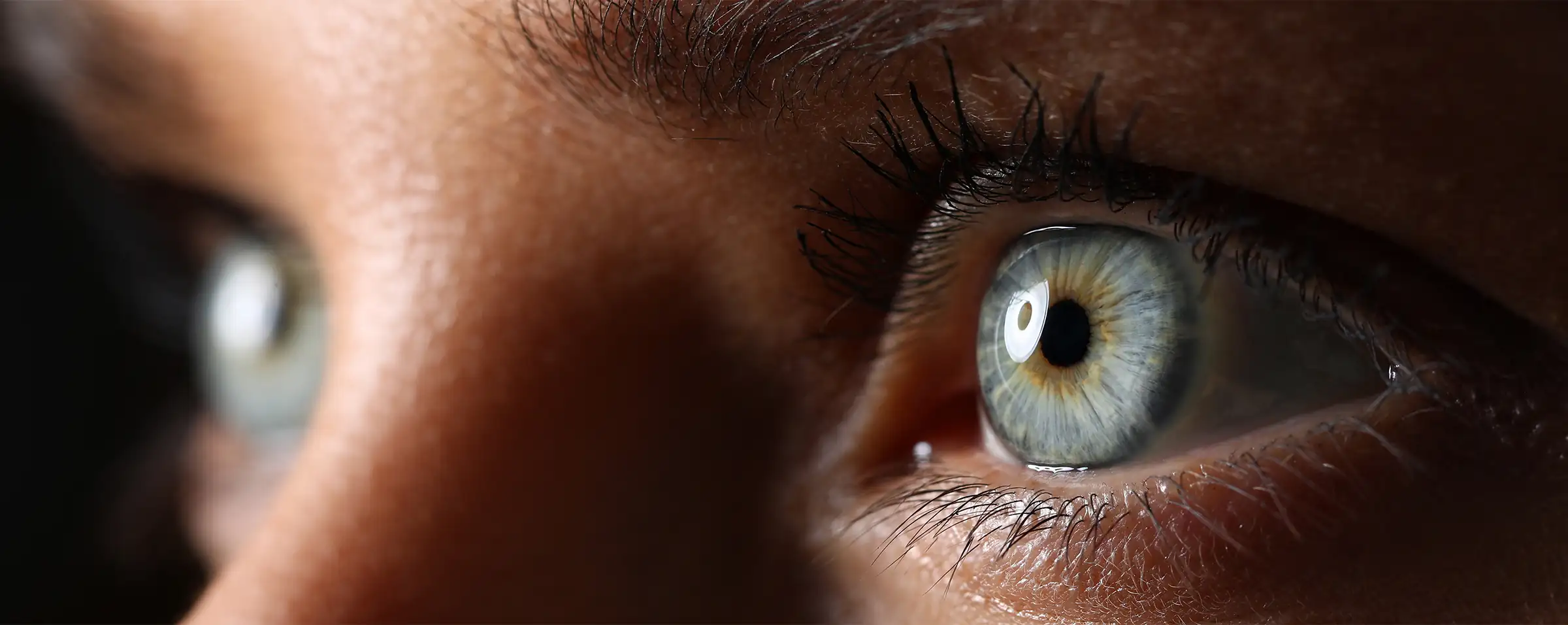 Blue eyes macro shot